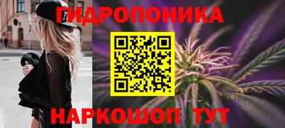 шишки Бузулук